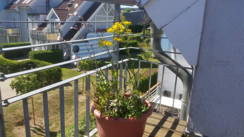 Balkon nach hinten